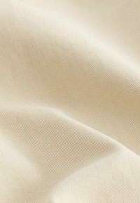 Next REGULAR FIT - Rövidnadrágok - neutral