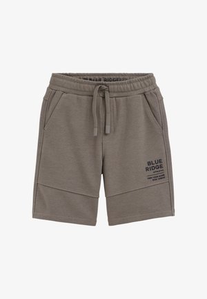 Bruine korte broek met elastische taille en trekkoord, voorzakken, naaddetails en de tekst "Blue Ridge Athletic Own Your Game Stay Ahead" op het rechterbeen.