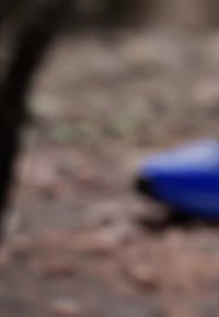 Rozmazaný detail modrobílé věci ležící na drsné hnědé ploše venku.