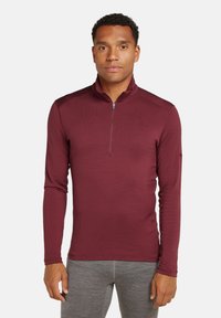 icebreaker M 260 TECH LS  - Langarmshirt - port