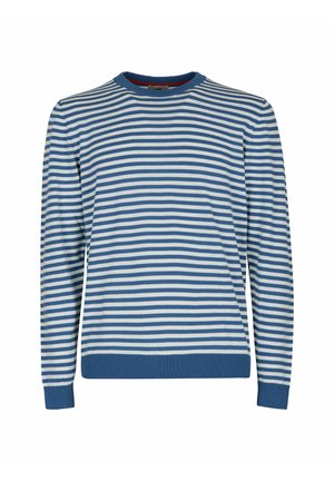 Maglione a maniche lunghe blu e bianco a righe, con colletto a girocollo e polsini a coste. Tessuto morbido con righe orizzontali uniformi su tutta la superficie.