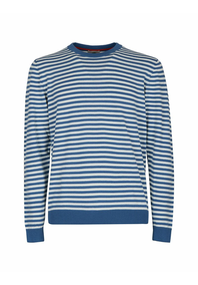 Maglione a maniche lunghe blu e bianco a righe, con colletto a girocollo e polsini a coste. Tessuto morbido con righe orizzontali uniformi su tutta la superficie.