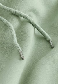 Next STANDARD - Jersey con capucha - sage green