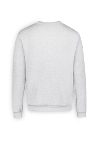 Sudadera gris claro con cuello redondo, mangas largas y puños y dobladillo acanalados. Fabricada con un tejido suave y texturizado con un acabado liso.