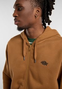 Brown zip-up hoodie with a soft texture, featuring adjustable drawstrings, a black logo, and a relaxed fit. Underneath, a green striped shirt.