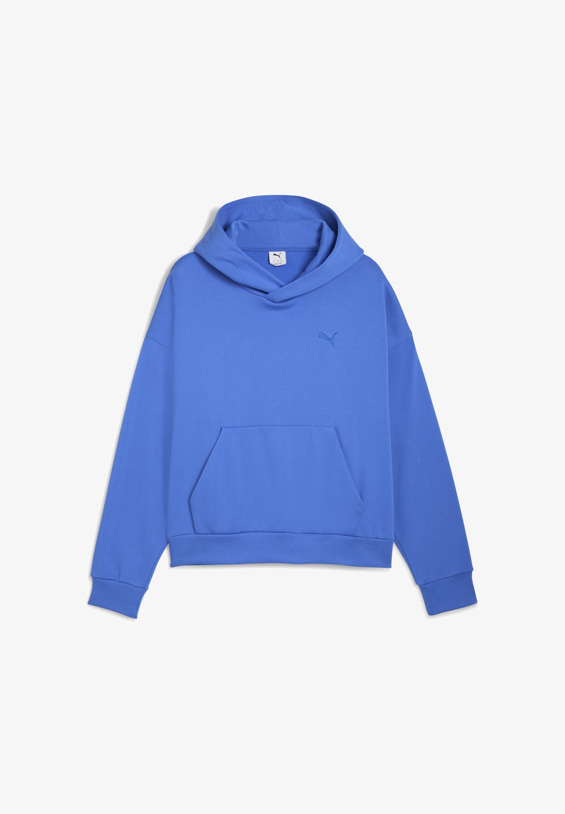 Puma WARDROBE ESSENTIALS BOXY Felpa con cappuccio mountain