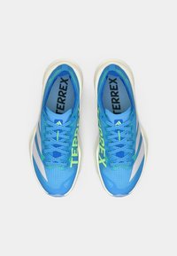 Μπλε αθλητικά παπούτσια με επάνω μέρος από δίχτυ, αντίθετο πράσινο λογότυπο "TERREX", αντανακλαστικές ασημένιες ρίγες και μπλε κορδόνια. Ελαφρύς σχεδιασμός.