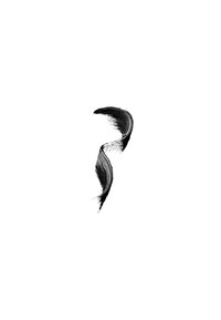 NUI Cosmetics Mascara - black