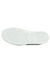 Le Temps Des Cerises BASIC - Zapatillas - margaux