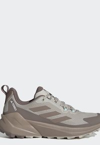 Vaaleanharmaat ja beiget värilt Adidas Terrex maastojuoksukengät, joissa on kestävä pohja ja vetokieleke kannassa, yksivärisellä taustalla.