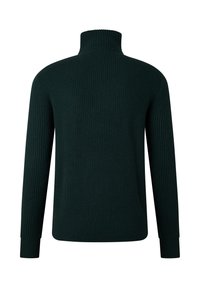 Dunkelgrüner, gerippter Rollkragenpullover mit langen Ärmeln, von hinten auf weißem Hintergrund gezeigt.