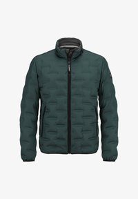 Unausgewählt, dunkelgrün