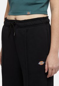 Černé tepláky s elastickým páskem, bočními kapsami a kulatou nášivkou loga Dickies na levém stehně. Vyrobené z měkké látky.