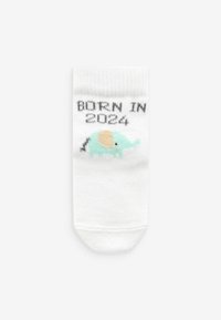 Next 2 PACK REGULAR FIT - Socks - ecru white