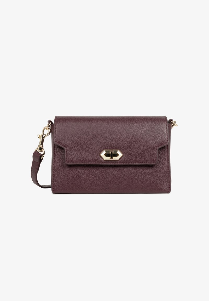 Clutch in pelle bordeaux scuro con chiusura a patta e chiusura a morsetto in tonalità oro, dotata di una tracolla rimovibile con ganci dorati.