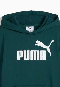 Tmavozelená mikina s kapucňou s veľkým bielym logom "PUMA" a grafikou skáčucej pumy na prednej strane, obsahujúca kengurí vrecko a kapucňu.