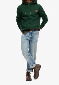 Superdry & Co Jersey con capucha - green