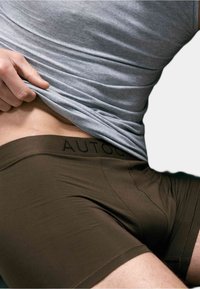 Boxer in cotone marrone con un design aderente, realizzati in tessuto morbido, con un elastico nero riportante il testo "AUTOD", abbinati a una maglietta grigia.