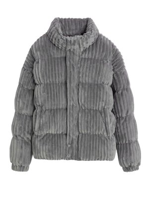 Veste d'hiver - gris foncé