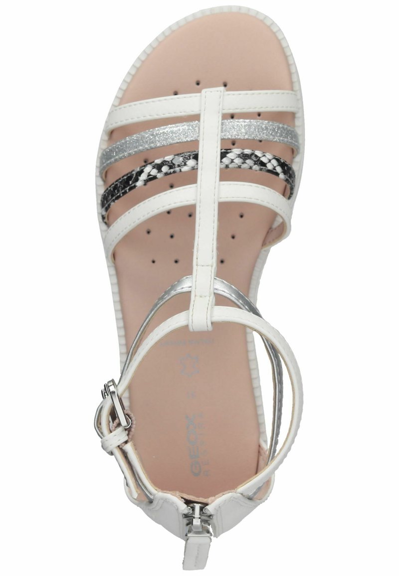 Wolkig Intakt Forum geox sandalen Therapie heute Abend bösartig