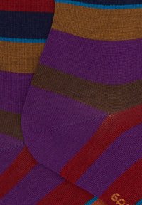 Calzini di cotone con righe audaci in viola, rosso, marrone e blu, caratterizzati da una texture morbida e un tallone rinforzato per maggiore durata.