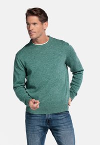 Groene gebreide trui met een ronde hals, geribde mouwen en onderkant. Gecombineerd met blauwe denim jeans. De textuur lijkt zacht en warm.