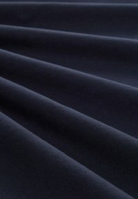 TOM TAILOR MIT LOGO - Camiseta estampada - sky captain blue