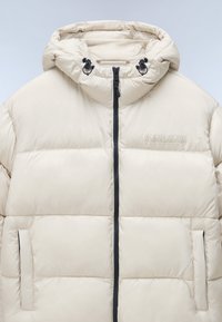 Napapijri HORNELEN  - Giacca invernale - beige silvr n