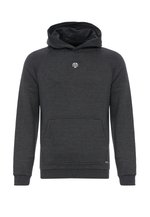 Creeks AMERICAN INSPIRATION; FASHION; COOL; EASY - Felpa con cappuccio - grey/grigio