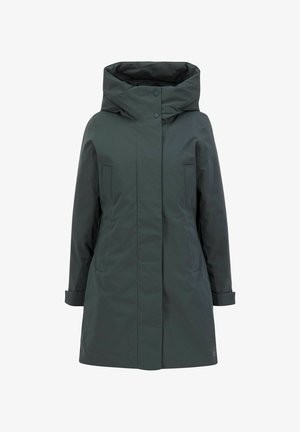 Elvine ELINE - Wintermantel - green