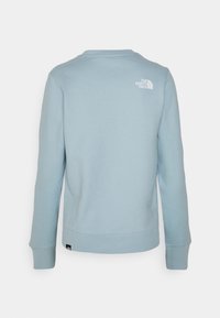 Ljusblå sweatshirt med långa ärmar, ribbade muddar och rundad halsringning. Har en liten vit logotyp på övre ryggen. Mjuk tygtextur.