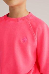 Rožinė megztinė su apvalia kaklo iškirpte, raukšlėtu apykakle ir raglano rankovėmis. Priekyje yra mažas rožinis gėlių siuvinėjimas. Minkšta tekstūra.