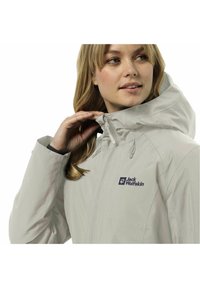 Jack Wolfskin HEIDELSTEIN - Wintermantel - dove