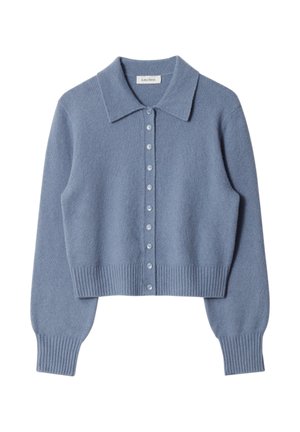 Helles blaues Wollcardigan mit einem Kragenhals, gerippten Bündchen und Saum, ausgestattet mit sechs Knöpfen auf der Vorderseite. Weicher Textur.