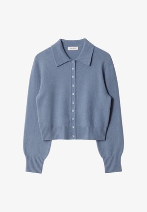 Helles blaues Wollcardigan mit einem Kragenhals, gerippten Bündchen und Saum, ausgestattet mit sechs Knöpfen auf der Vorderseite. Weicher Textur.
