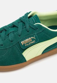 Puma PALERMO UNISEX - Sportcipő - dark myrtle/cool cucumber