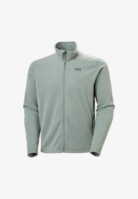 Non selezionato, grey cactus