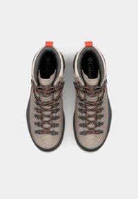 Columbia NEWTON ALPINE PT - Fjellsko - kettle/tangy orange