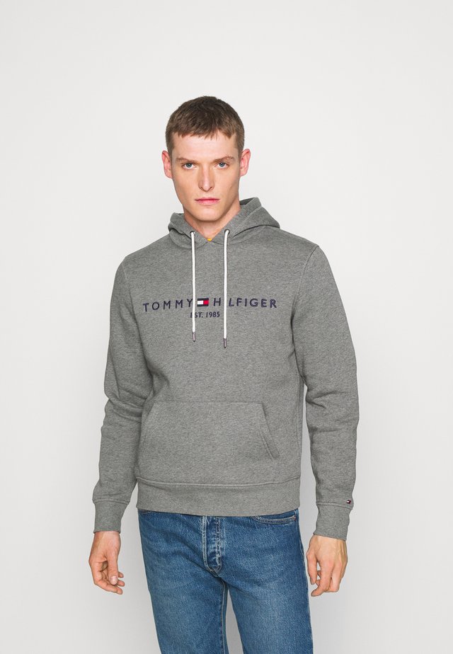 LOGO HOODY - Sweat à capuche - grey