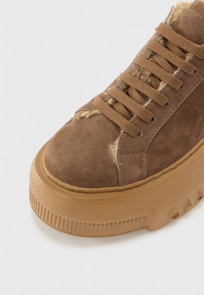 Casadei NEXUS - Baskets basses - brown