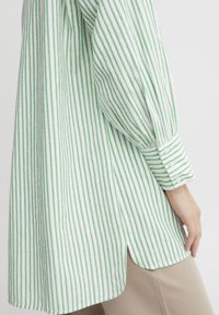 Blusa a righe verdi e bianche con maniche lunghe, polsini abbottonati e fessure laterali, realizzata in un tessuto leggero. Texture liscia.