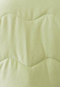 AMELIA  - Žieminė striukė - sage green