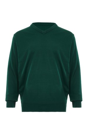 Pulover verde cu decolteu în V, realizat dintr-un material moale, cu mâneci lungi, manșete cu nervuri și un design simplu, fără modele sau accente.