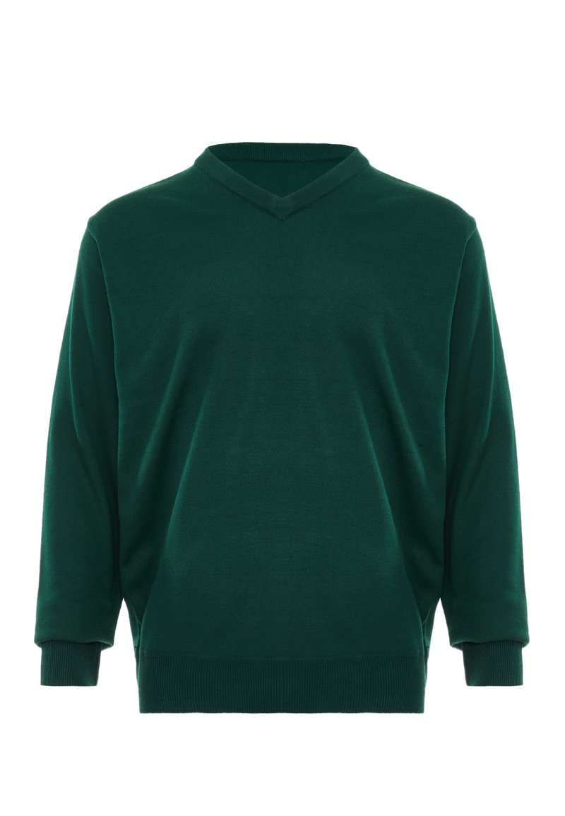 Pulover verde cu decolteu în V, realizat dintr-un material moale, cu mâneci lungi, manșete cu nervuri și un design simplu, fără modele sau accente.