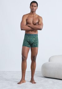 Πράσινα αντρικά εσώρουχα boxer με μοτίβο και σκοτεινή μέση με την επιγραφή "BJÖRN BORG". Το μοντέλο στέκεται με σταυρωμένα τα χέρια, πάνω σε ουδέτερο φόντο.