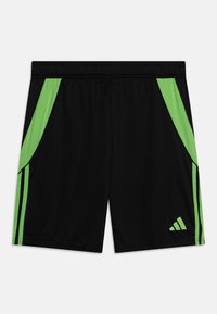adidas Performance - TIRO 24 - Športové šortky - black/semi lucid lime Miniatúrny obrázok 1