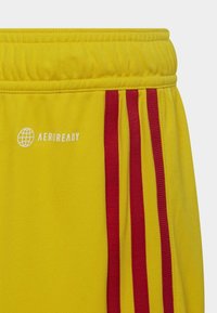 adidas Performance TIRO 23 - Kurze Sporthose - team yellow   team collegiate red
