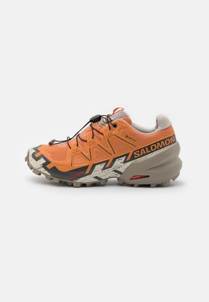 Oranje en beige Salomon trailrunningschoen met zwarte veters, robuuste zool, Gore-Tex-label en geometrisch patroon op de tussenzool.