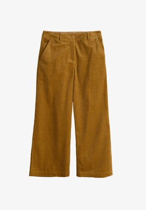 Seasalt Cornwall ASPHODEL - Pantalones - yellow marshland