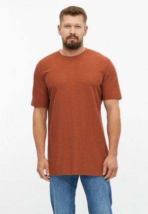 Erwachsener Mann mit kurzen Haaren und Bart, der ein rostfarbenes kurzärmeliges T-Shirt und blaue Jeans trägt, steht vor weißem Hintergrund.